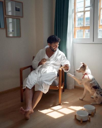 a man sitting in a chair next to a cat at Hotel Parián in Mexico City