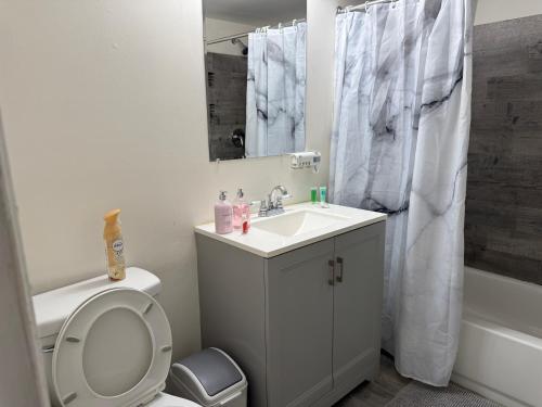 a bathroom with a sink and a toilet and a mirror at Modern 1br Retreat In Elkins Park - Long Term in Jenkintown