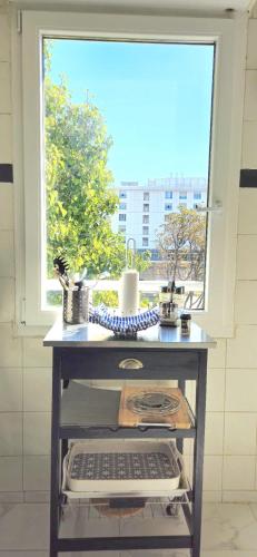 Appartement spacieux, lumineux et climatisé, proche tram V photo 24