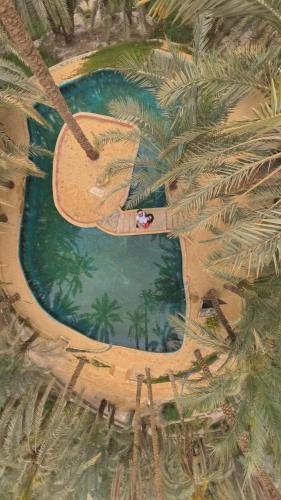 an aerial view of a resort swimming pool with palm trees at Spellbound in Siwa in Siwa