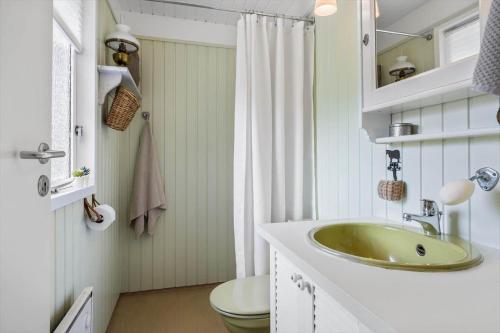 a bathroom with a green sink and a toilet at JB401-Brovst-Solsortevej-1 in Tranum