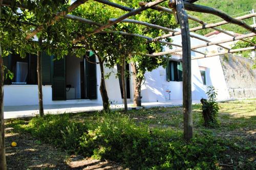 a white house with trees in the yard at Montammare Casa Di Charme in Tramonti