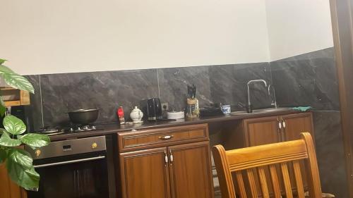 Lev Tolstoy 주방 또는 간이 주방