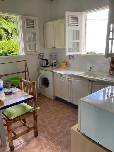 a kitchen with a sink and a washing machine at Gîtes les Colibris in Saint-Claude