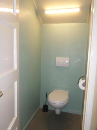 a bathroom with a white toilet in a green wall at Björkdahla in Dörarp