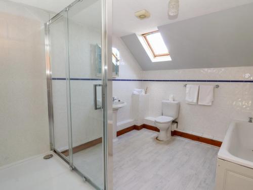 a bathroom with a shower and a toilet at Glanyrafon in Rhayader