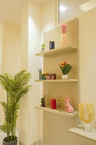 a room with shelves with plants and a potted plant at The Uptown Kingdom Luxury Homestay in Mukteswar