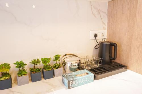 a row of potted plants on a counter with a coffee pot and glasses at The Uptown Kingdom Luxury Homestay in Mukteswar