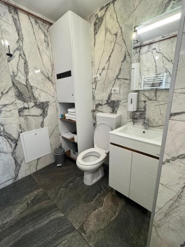 a bathroom with a toilet and a sink at Bellas apartmani in Novi Sad