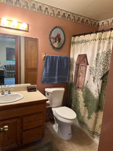 a bathroom with a toilet and a sink and a shower curtain at Charming Pine Mountain Home with Family Space in Frazier Park