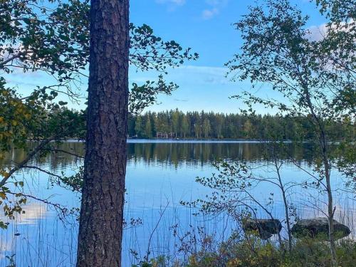 a view of a lake from between two trees at GAV757-Norrala-Kungsgardssjoearna-287 in Norrala