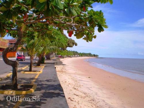 Φυσικό τοπίο κοντά σε αυτή η παραθεριστική κατοικία