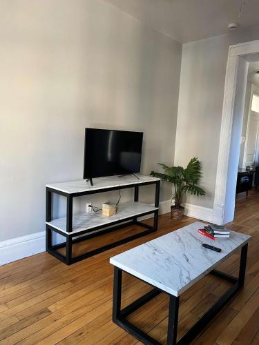 a living room with a tv and a coffee table at South Loop 3 Bedroom Apt in Chicago