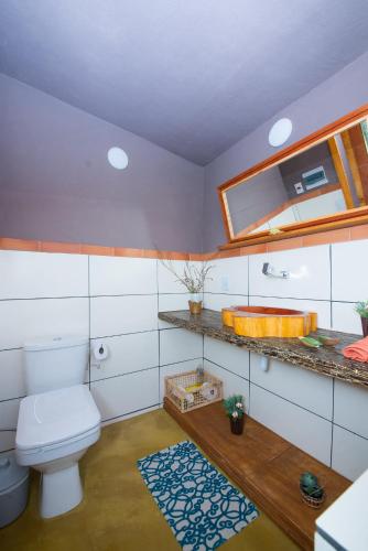 a bathroom with a toilet and a mirror and a rug at Espaço Gata Mourisca in Camanducaia