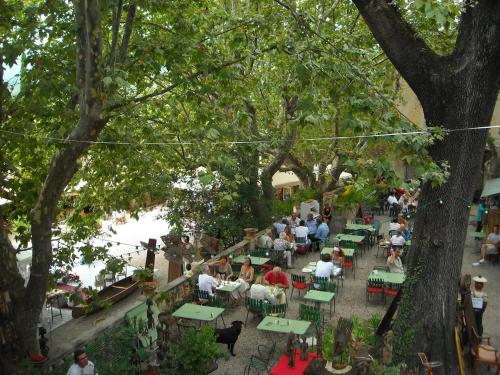 a group of people sitting at tables under trees at Elegant villa - swimming pool - French Riviera in Montauroux