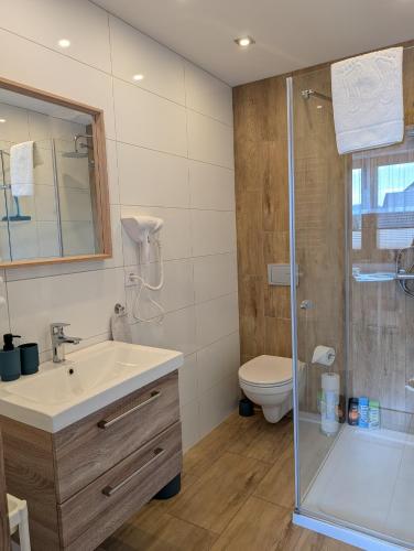 a bathroom with a shower and a sink and a toilet at Apartament Przy Potoku in Zubrzyca Górna