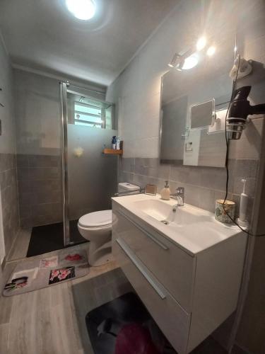 a bathroom with a sink and a toilet and a shower at Villa Toc Toc à Bouillante, Guadeloupe in Bouillante