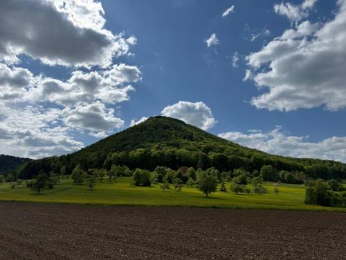 a green hill with trees in front of a field at Altes Pfarrhaus Hotel und Restaurant in Bad Überkingen