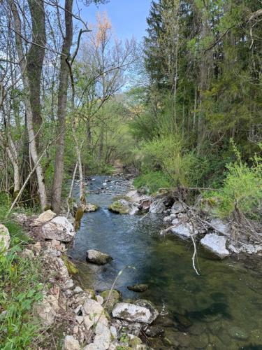 a stream of water with rocks in a forest at Altes Pfarrhaus Hotel und Restaurant in Bad Überkingen