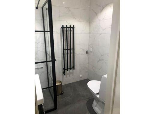 a bathroom with a toilet and a glass shower at GAV792-Jaerbo-Skogsbrovaegen-22 in Botjärn
