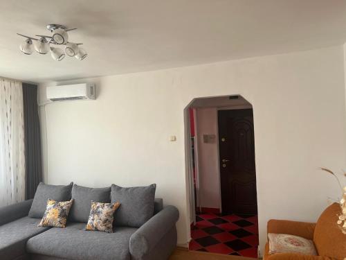 a living room with a gray couch and a black door at Apartament Saraol in Deva