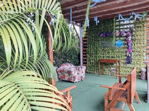 Un jardín fuera de PiscinaCascolHostal