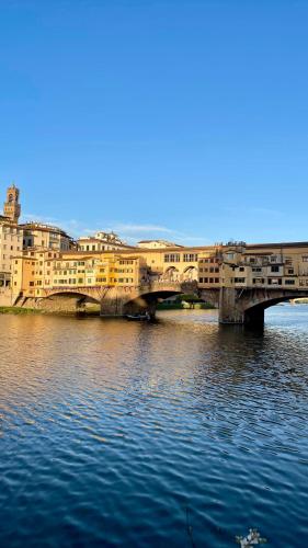 Heart of Florence Duomo Charming and Cozy Apartment