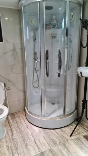 a shower stall in a bathroom with a toilet at Rustic Home in Ciungetu