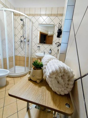 a bathroom with a shower and a table with a plant at Polizzihouse in Polizzi Generosa