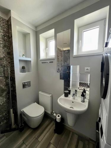 a bathroom with a white toilet and a sink at Ergli Holiday Apartments in Ērgļi
