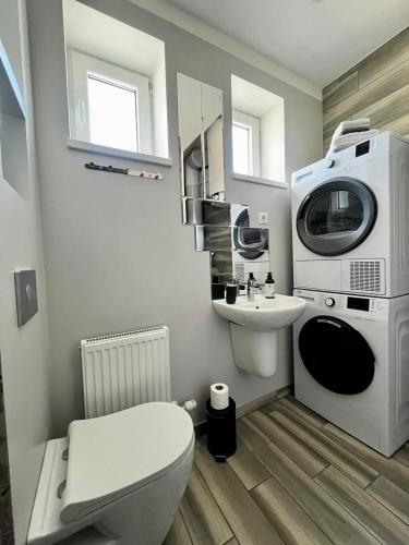 a bathroom with a toilet and a sink and a washing machine at Ergli Holiday Apartments in Ērgļi