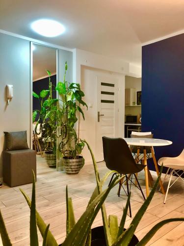 Plaża centralna-molo Apartament Portowa Next to the seaside