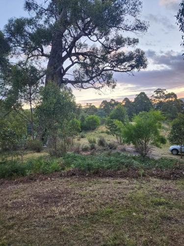Imagen de la galería de Banksia Bus, en Longley Lower