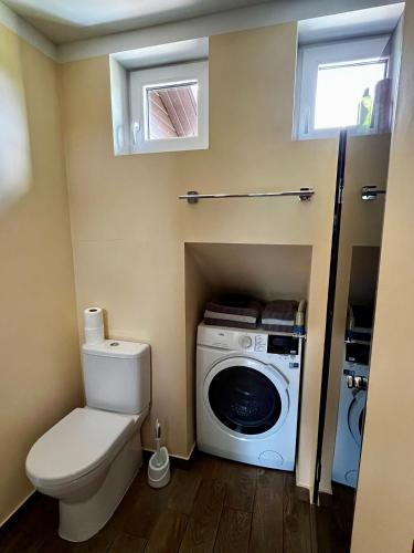 a bathroom with a toilet and a washing machine at Ergli Holiday Apartments in Ērgļi