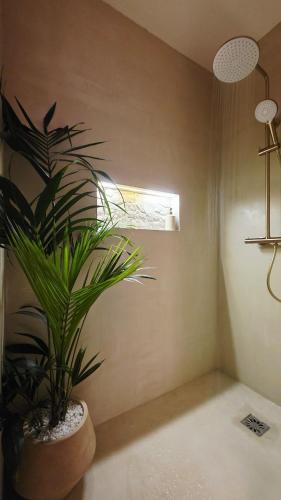 a plant in a pot in a room at Escape Zen - Suite and Spa in Chambly