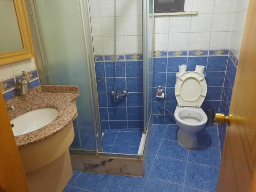 a bathroom with a toilet and a shower and a sink at GRAND HiSAR HOTEL in Istanbul