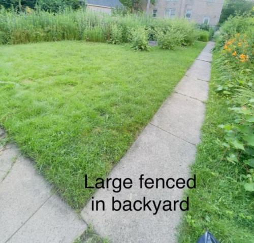 a sidewalk in a yard with the words large fenced in backyard at GL- Great Location, Free Parking, Spacious, Private Office & Family Friendly in Evanston