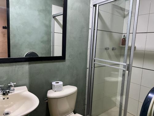 a bathroom with a shower and a toilet and a sink at Hotel Natural Medellin in Medellín