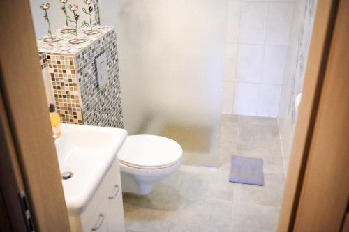 a bathroom with a toilet and a sink and a shower at POKOJE GOŚCINNE IRGA in Starogard Gdański