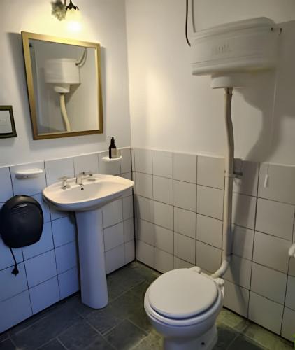 a bathroom with a toilet and a sink at Mi Casa Tu Casa D , apto mascotas in Lago Puelo