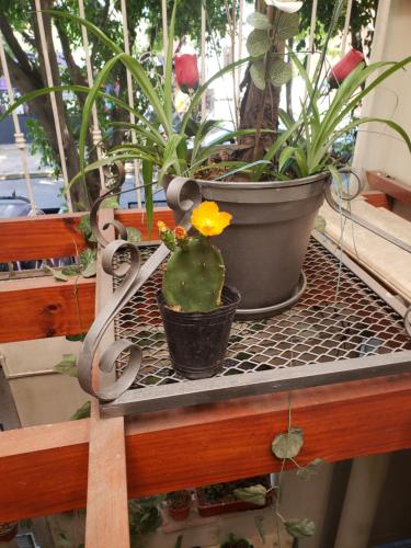 Fotografie z fotogalerie ubytování Habitación con baño privado 1 cama doble v destinaci La Plata