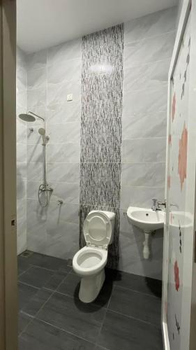 a bathroom with a toilet and a sink at Hannan Homestay Tangkak in Tangkak
