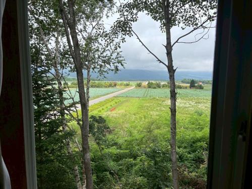 a window with a view of a field with trees at 北軽井沢 あさま1155 in Tsumagoi