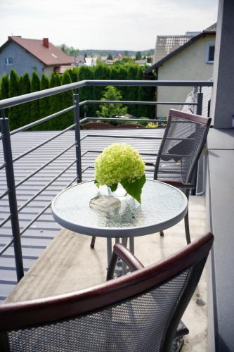 a table with a green plant on a balcony at POKOJE GOŚCINNE IRGA in Starogard Gdański