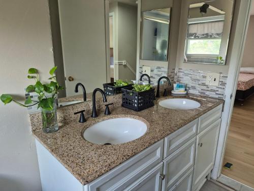 a bathroom counter with two sinks and a mirror at Four Bedroom Family and friends cozy home in Sterling Heights