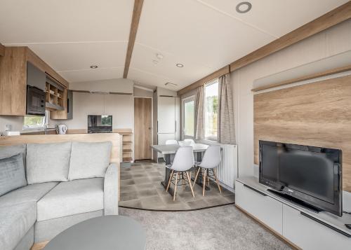 a living room and kitchen with a couch and a television at Kippford View Holiday Park in Castle Douglas