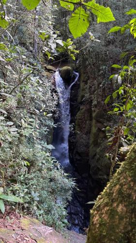 a stream of water coming out of a bridge at Quinta São Xico Cabin - São Francisco Xavier in São Francisco Xavier