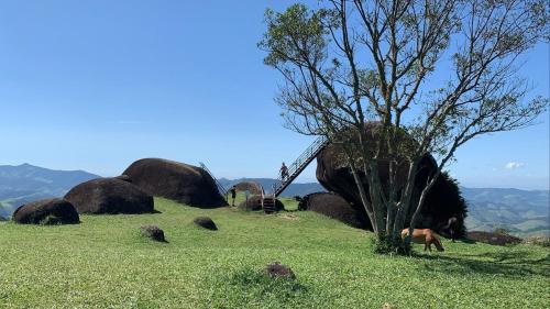 a group of rocks and a tree on a hill at Quinta São Xico Cabin - São Francisco Xavier in São Francisco Xavier