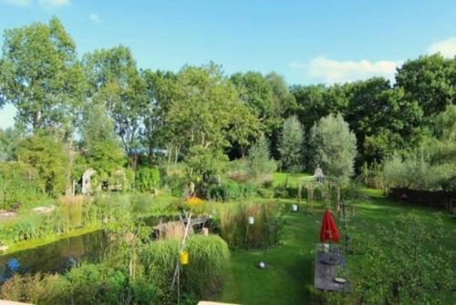 a garden with a pond and trees and a yard at Reijgershof - The Barok lounge in Amsterdam