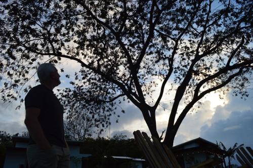 a man standing in front of a tree at Luxury Villa Ceibo - Exquisite, Private, Serene in San Mateo